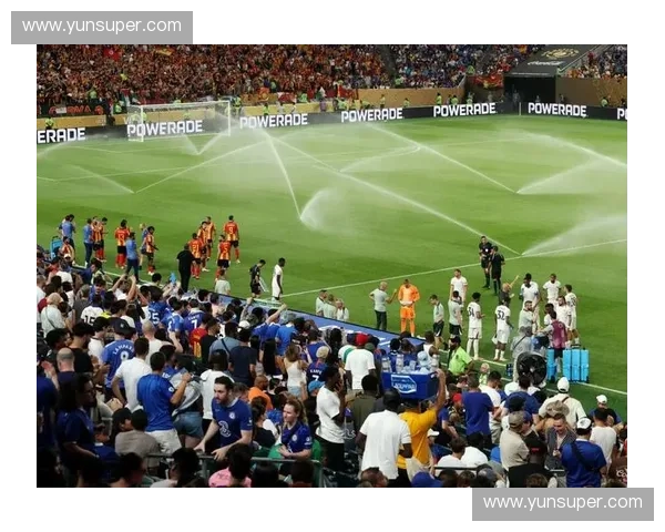 南非世界杯回顾与精彩瞬间全景解析与球迷热情纪实